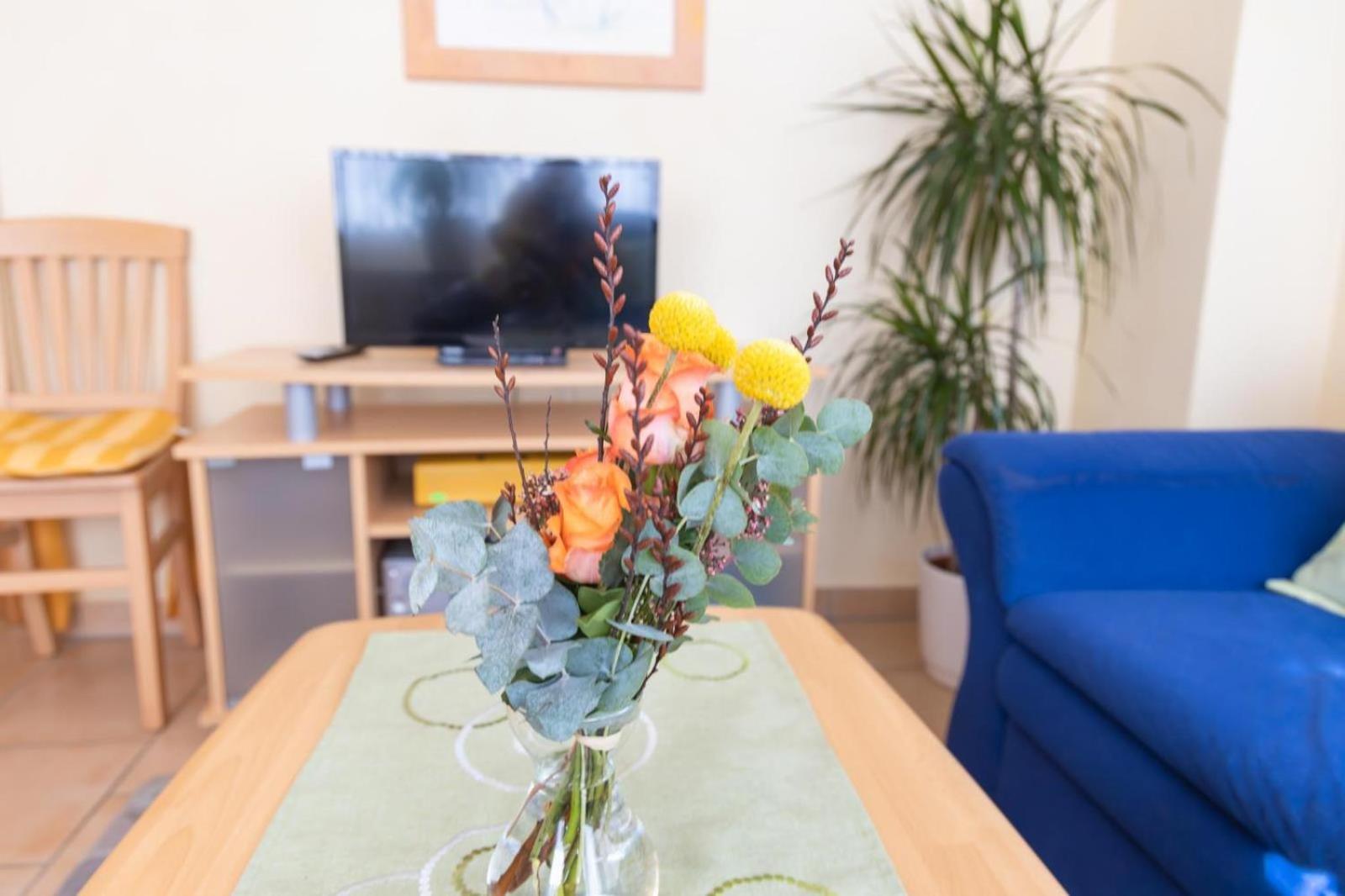 Ferienwohnung 4 Am Petersberg Neef エクステリア 写真